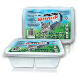 Certech Super Benek Duet Kocia Trawka Syzbkorosnąca 150