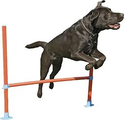 Rosewood 02491 Agility domek dla psów