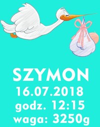 Metryczka dla chłopczyka - plakat Wymiar do wyboru: