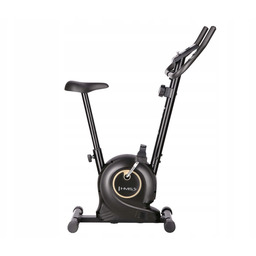 Rower magnetyczny Hms M8750