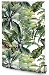 Muralo Tapeta Liście Bananowca Tropikalne Rośliny