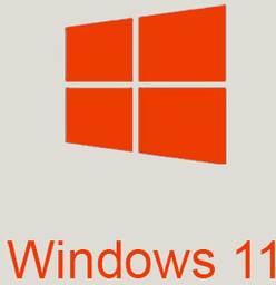 Microsoft Windows 11 Home PL