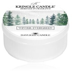Kringle Candle Daylight Kringle Winter Evergreen Świeca zapachowa