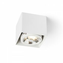 Oprawa sufitowa JAMES I DIMM R13361 - Rendl