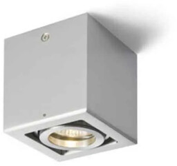 Oprawa sufitowa BERIT I R10119 - Rendl