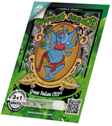 Green Poison CBD - feminizowane nasiona marihuany 3
