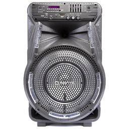 Głośnik Power Audio Manta SPK 5033 40W karaoke