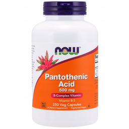Suplement Diety, Now Pantothenic Acid 500mg 250 K