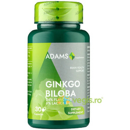 Ginkgo Biloba 24/6 30szt