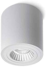 Oprawa sufitowa MAYO 2700K R10374 - Rendl