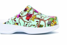 Obuwie zawodowe pełne CARINE DOUBLE rozm. 43 Trepy