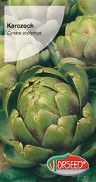 Karczoch Cynara scolymus 1g