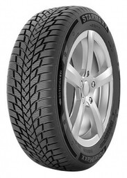 Starmaxx 205/55R16 POLARMAXX 91H TL