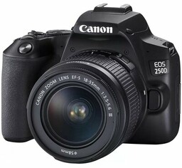 Canon EOS 250D + 18-55 DC III +