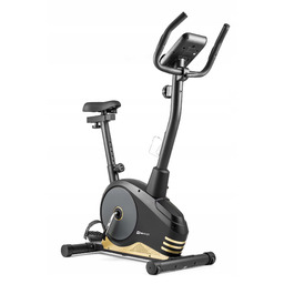 Rower Treningowy Domowy Stacjonarny Magnetyczny Fitness Do Ćwiczeń