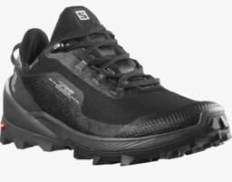 BUTY SALOMON CROSS OVER GTX W 412865