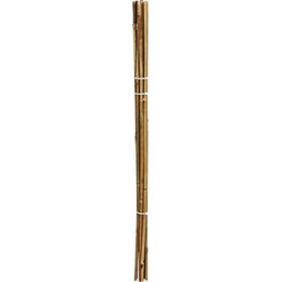PROGARDEN Podpórka do roślin 310383 tyczka Bambusowy (10