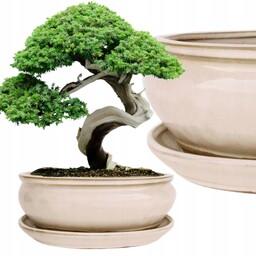 Donica Do Bonsai Z Podstawką Ceramiczna Szkliwiona Kremowa