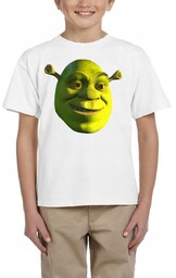 Shrek 3129 Koszulka Dziecięca Fiona Kot Bajka 104