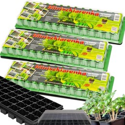 3x Duża Mini Szklarenka Szklarnia Na Parapet Zielnik