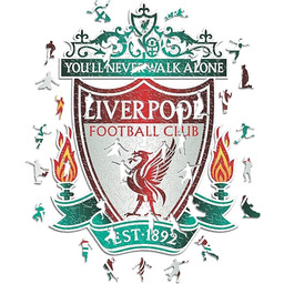 Iconic Puzzles Drewniane puzzle unisex-dorośli, wielokolorowe, L, 500