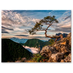 Obraz Canvas 85 x 113 cm ST700 Sokolica