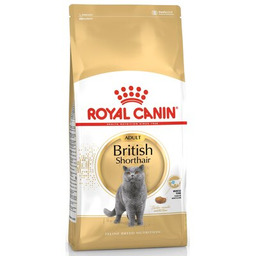 ROYAL CANIN British Shorthair 10kg karma sucha
