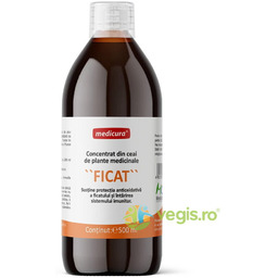Koncentrat herbaty ziołowej na wątrobę 500ml