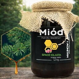 Miód Spadziowy Iglasty Jodła 1.2 kg - Duży
