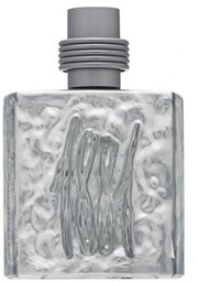 Cerruti 1881 Silver woda toaletowa dla mężczyzn 100