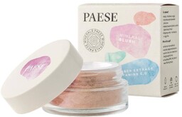 Paese Róż Mineralny 301N Dusty Rose