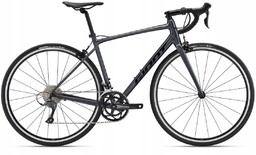Giant contend 2 2024
