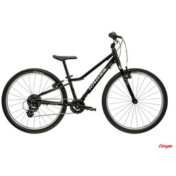 Kross Rower Liftie 24 czarny-srebrny