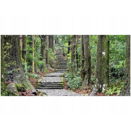 Obraz Japońska ścieżka przez las