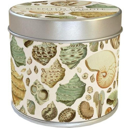 Zapachowa świeczka Muszle - zapach brzoskwiniowy