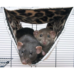 Savic Relax De Luxe Tube średni hamak