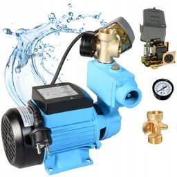 Pompa 250 W Hydroforowa do Wody Powierzchniowa Wzp
