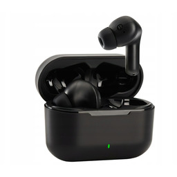 Słuchawki dokanałowe Panasonic RZ-B310WDE-K Czarny