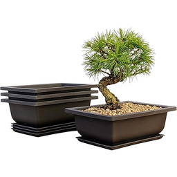 Doniczki treningowe bonsai tace na wilgotność - wbudowana