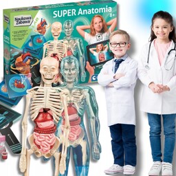Zestaw Edukacyjny Szkielet Człowieka Ciało Ludzkie Anatomia Ar
