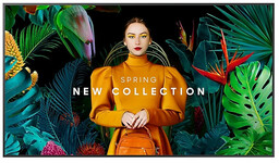 Samsung QM43C 43" Wyświetlacz