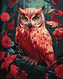 Malowanie po numerach - Kolorowa sowa...40x50cm - Ideyka