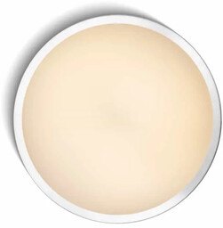 Oprawa sufitowa MELISA 52 R11297 - Rendl