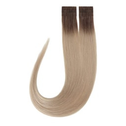 Rapunzel of Sweden Premium Tape Extensions Straight /