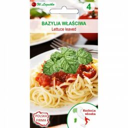 Bazylia właściwa Lettuce Leaved Legutko nasiona 1g >>>