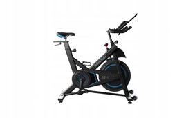 Rower Spiningowy Horizon 7.0 IC