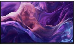 Monitor DELL P2425H 23.8 FHD WOST 3Y