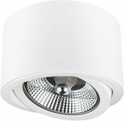 Tuba natynkowa ruchoma CHLOE AR111 IP20 OKRĄGŁA BIAŁA,