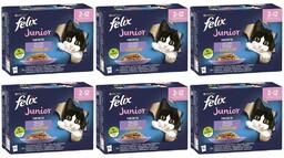 FELIX Fantastic Junior w galaretce; 72x85g