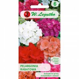 Pelargonia rabatowa mieszanka kolorów >>> nasiona Legutko